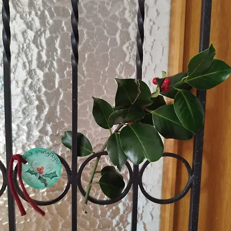 Apartamento Casa Pungitopo Bedigliora