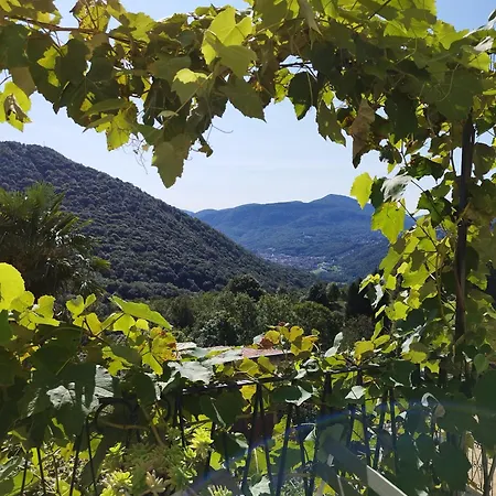 Apartamento Casa Pungitopo Bedigliora