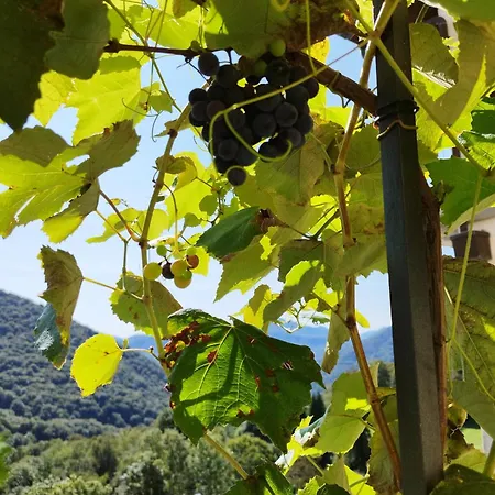 Casa Pungitopo Bedigliora