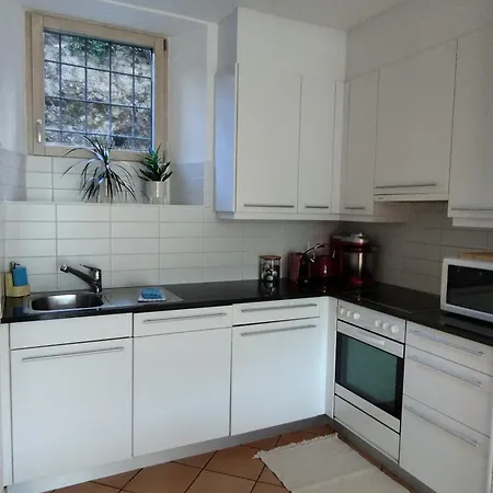 Casa Pungitopo Bedigliora